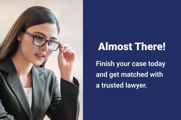 Professional Lawyer